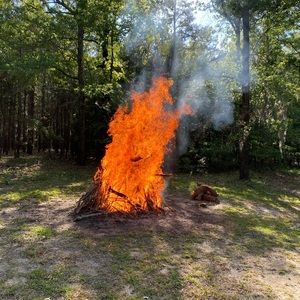 Meet your Posher, Trevor